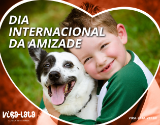 DIA 20 DE JULHO: Dia Internacional da Amizade
